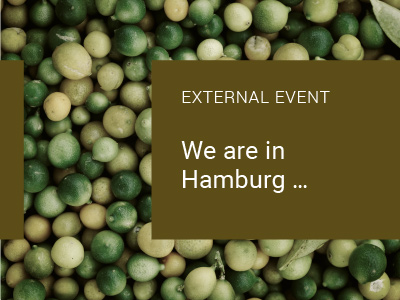 Read more about the article We are in Hamburg …